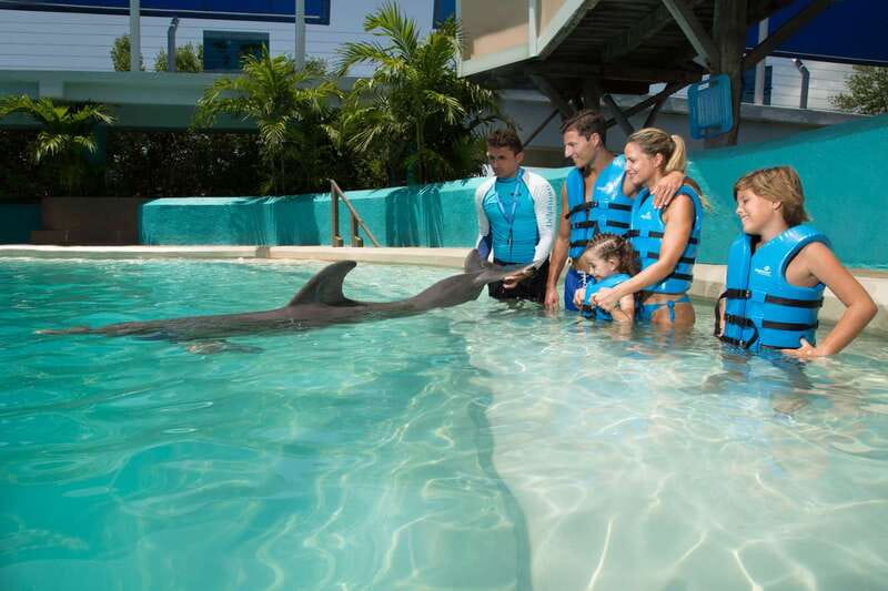 Cancun: Interactive Aquarium Ticket and Swim with Dolphins - 14 dolphin activities: Games, behavior learning, and the dolphin kiss