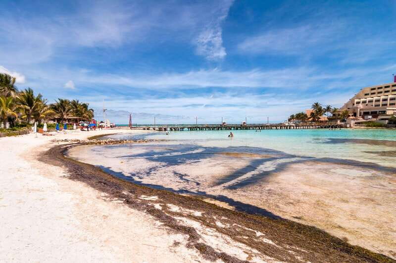 Cancun: Isla Mujeres Premium Catamaran Half-Day Tour - Group timing and dock delays: the one risk to accept