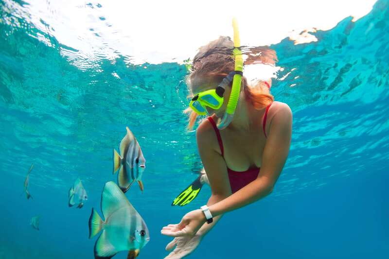 Cancun: Jungle Tour Adventure with Speedboat and Snorkeling. - Nichupté Lagoon + Punta Nizuc in Two Hours: A smart pace