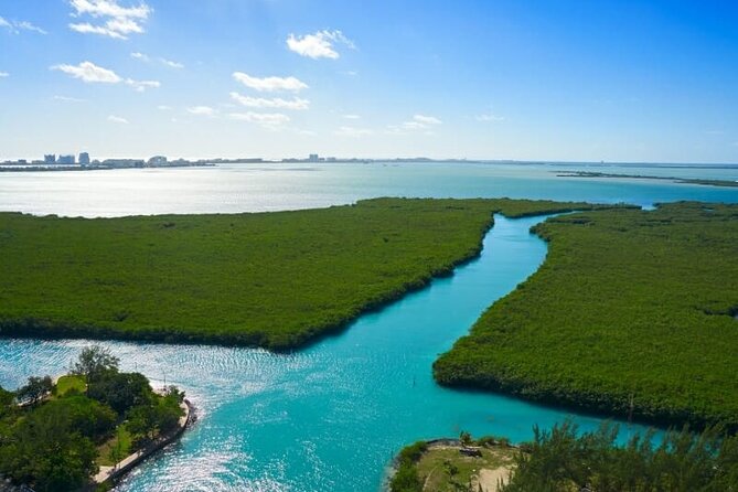 Cancun Jungle Tour with Speedboat and Snorkeling - Nichupté Lagoon Speedboat: Mangroves From the Waterline