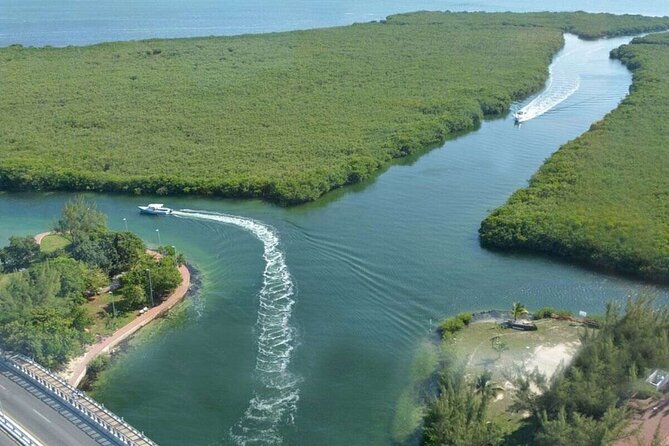 Cancun Jungle Tour with Speedboat and Snorkeling - Cancun Reef Snorkeling: 30 Minutes of Sea Life