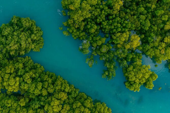 Cancun Jungle Tour with Speedboat and Snorkeling - What’s Included, What’s Not, and Your Quick Packing List