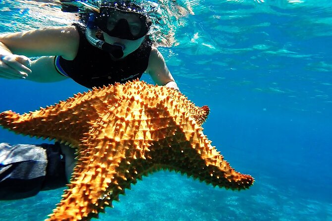Cancun Jungle Tour with Speedboat and Snorkeling - Price and Logistics: Where the Real Value Shows