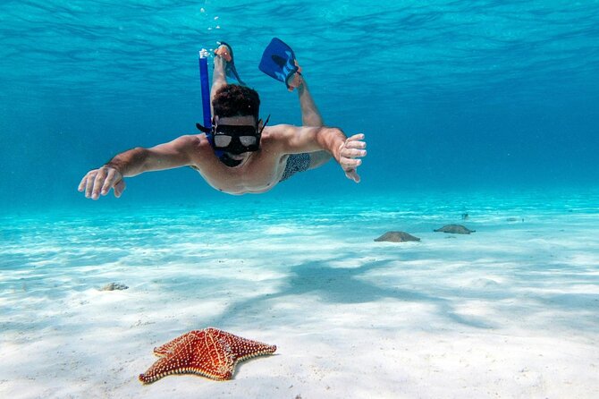 Cancun Jungle Tour with Speedboat and Snorkeling - Timing, Group Size, and Comfort on a Speedboat Day