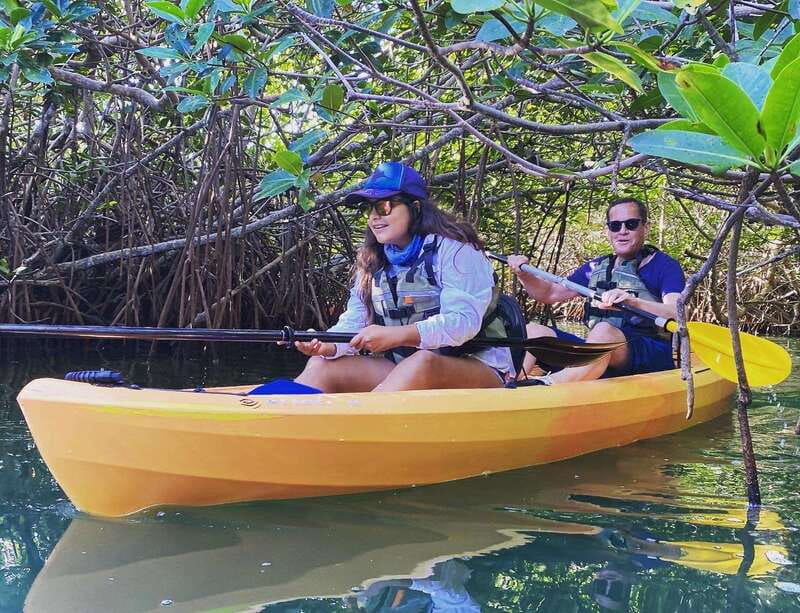 Cancún: Morning or Sunset Kayak Adventure in Nichupte Lagoon - The Mangroves Part: What You’re Actually Looking For