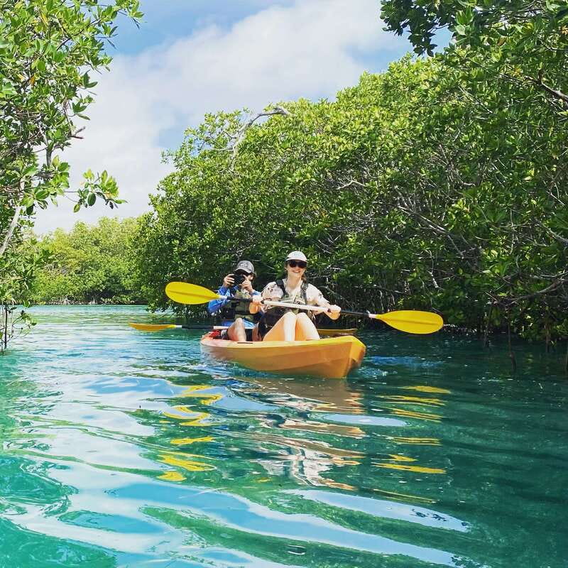 Cancún: Morning or Sunset Kayak Adventure in Nichupte Lagoon - Price and Value: Is $50 a Good Deal Here?