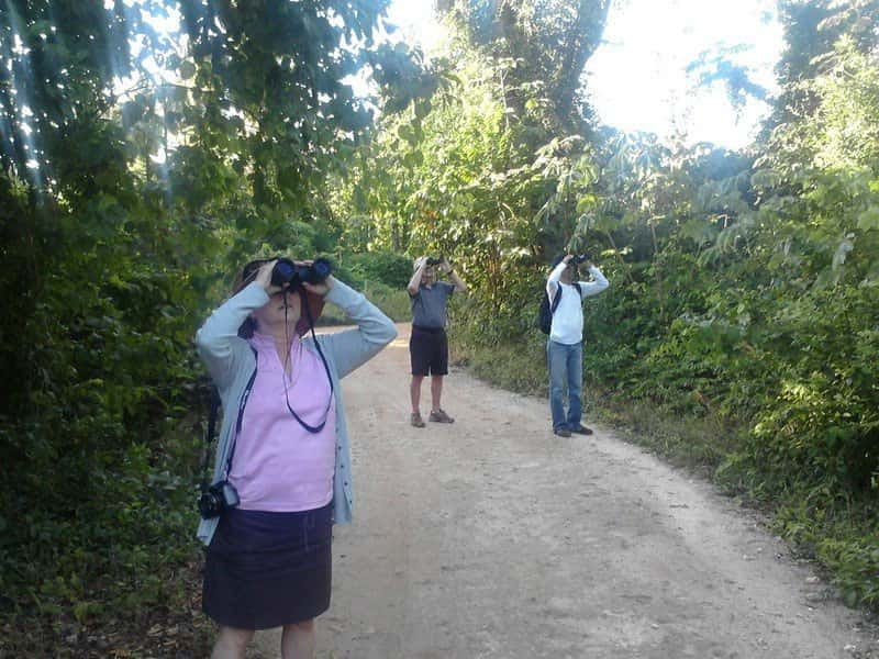 Cancun: Private Birdwatching Tour - What’s included (and what you should plan to bring)