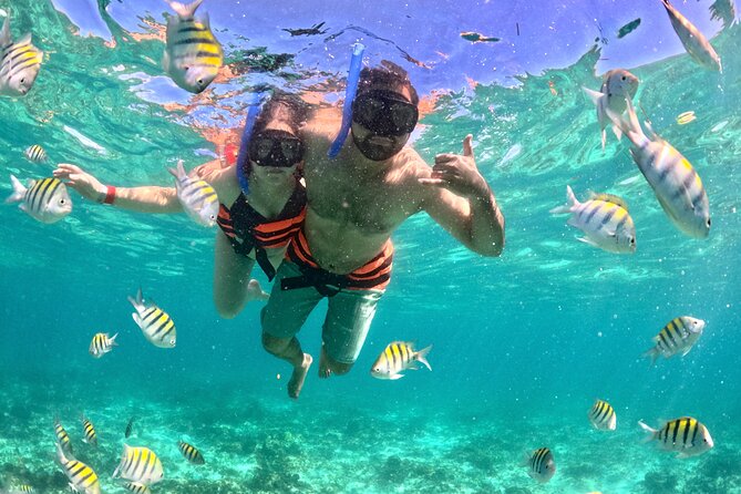 Cancun Private Catamaran Cruise– Open Bar & Snorkeling Experience - Open Bar on a 4-Hour Cruise: Easy to Enjoy, Smart to Pace
