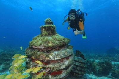 Cancun: Scuba Diving for Beginners, 2 Dives - Your schedule in real time: 8:00 AM check-in to 1:00 PM return