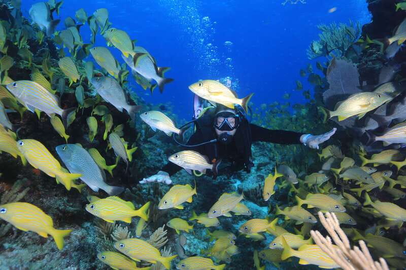 Cancun: Scuba Diving for Certified Divers, 3 options to dive - What’s included for $161, and what costs extra (500 pesos entrance fee)