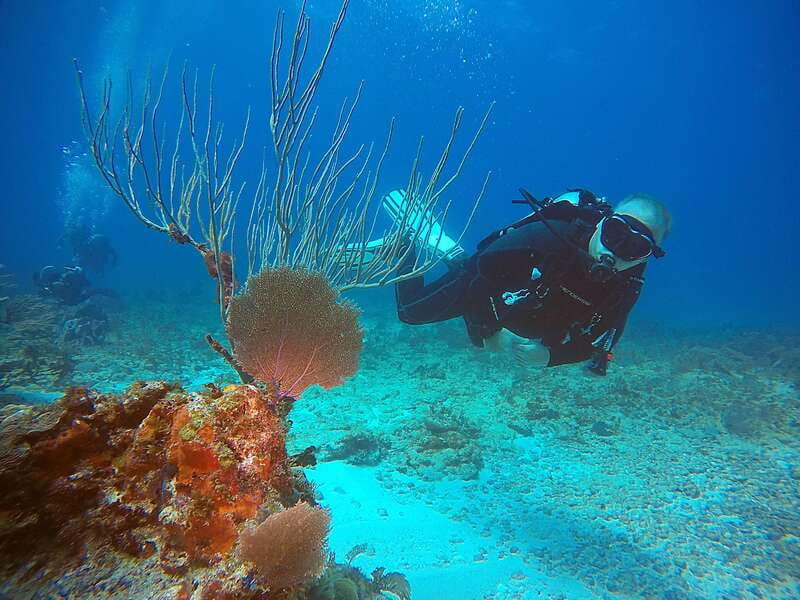 Cancun: Scuba Diving for Certified Divers, 3 options to dive - Safety and equipment checks: what I look for in a Cancun operator