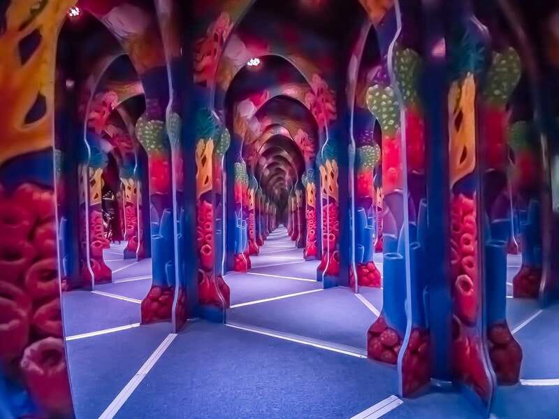 Cancún: Sky Wheel Pass GO - Ripley’s Believe It or Not: odd facts plus interactive games