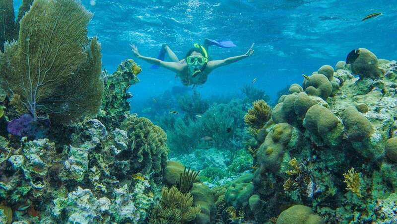 Cancun: Snorkel in MUSA Undewater Museum and Reef - Key takeaways before you go