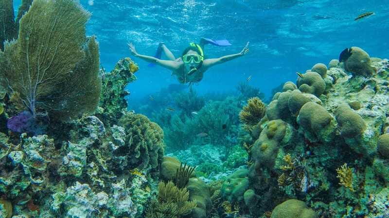 Cancun: Snorkel in MUSA Undewater Museum and Reef - Gear, staff support, and the practical rules that keep it smooth