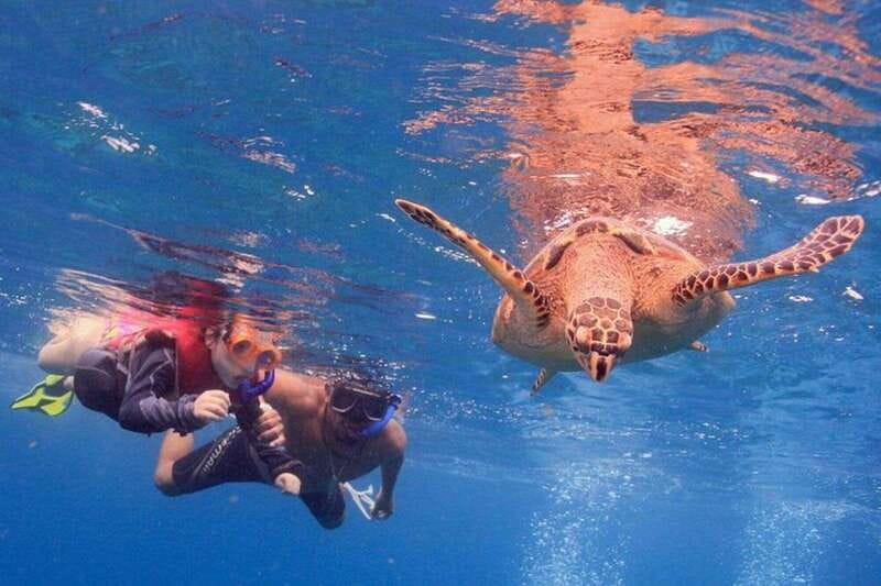 Cancun: Snorkeling at Underwater Museum & Manchones Reef - How the 4-hour timing works in real life