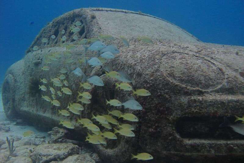 Cancun: Snorkeling at Underwater Museum & Manchones Reef - Price and value: the $59 base cost vs. real totals