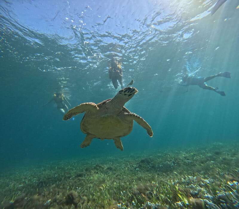 Cancun: Snorkeling Boat Tour with Gear - Three Hours, Five Snorkel Zones: How the Route Feels