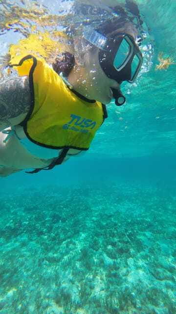 Cancun: Snorkeling Boat Tour with Gear - Price and Logistics: Is $99 Worth It in Cancun?