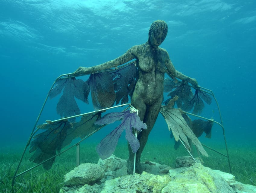 Cancun: Snorkeling Tour at MUSA The Underwater Museum - Who Should Book, and Who Might Want a Different Plan