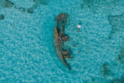 Cancun Snorkeling Tour: Swim with Turtles, Reef, Underwater Museum and Shipwreck - Price and Value: What $69 Really Buys (Plus One Extra Fee)