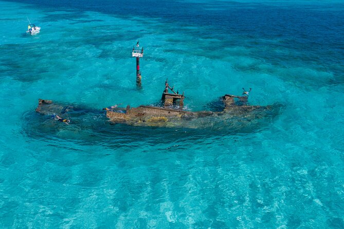 Cancun Snorkeling Tour: Swim with Turtles, Reef, Underwater Museum and Shipwreck - The Shipwreck Moment: A Natural Pool Full of Color
