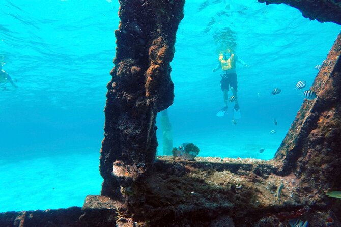 Cancun Snorkeling Tour: Swim with Turtles, Reef, Underwater Museum and Shipwreck - Small-Group Feel: More Attention, Less Chaos
