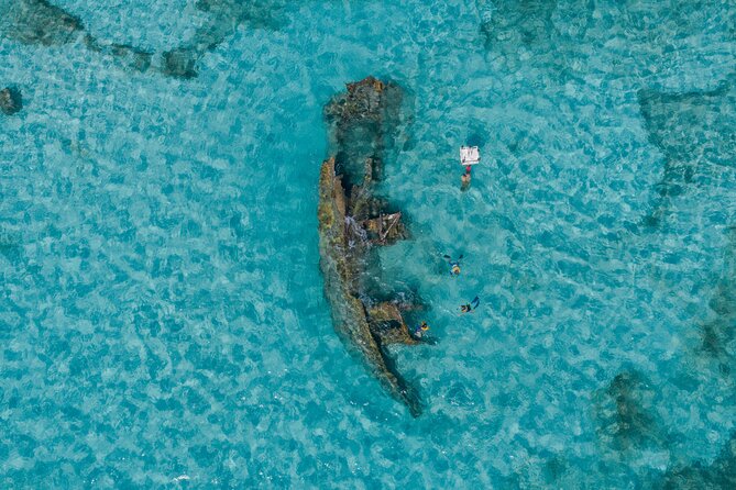 Cancun Snorkeling Tour: Swim with Turtles, Reef, Underwater Museum and Shipwreck - Price and Value: What $69 Really Buys (Plus One Extra Fee)
