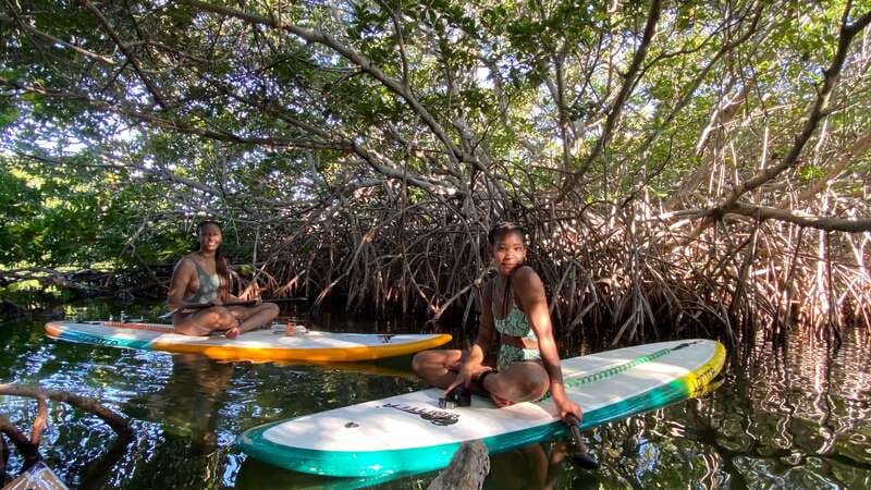 Cancun: Sunrise/Sunset Stand-Up Paddleboarding Tour - Quick Highlights You’ll Care About