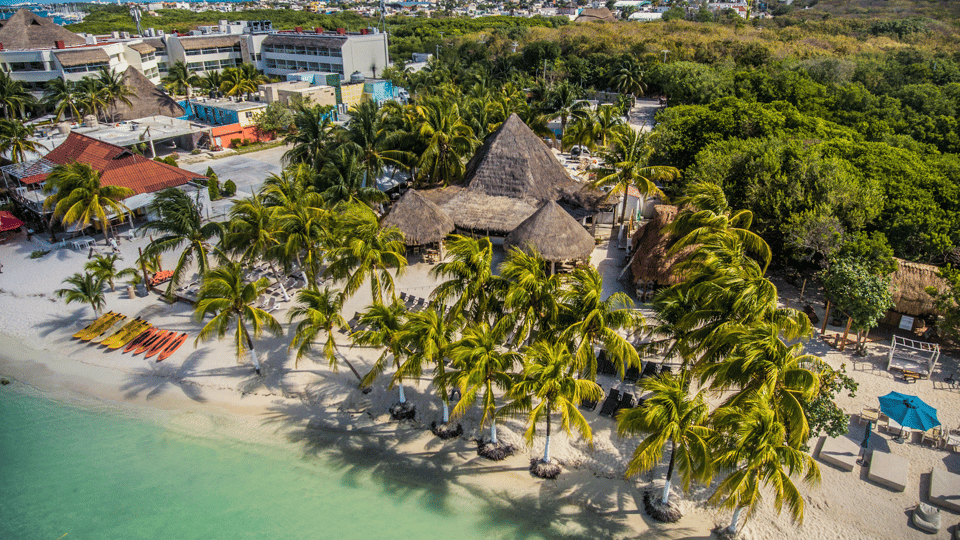 Cancún: Swim with Whale Sharks & Playa Norte Beach - Swim Sessions with Whale Sharks: How You Get Close (Without Chaos)