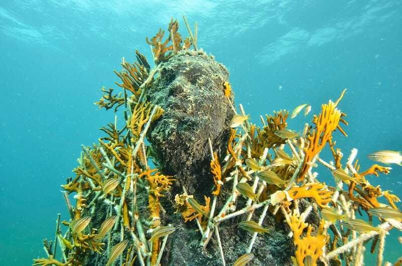 Cancún: Underwater Museum & Reef for Certified Scuba Divers - Key things to know before you go