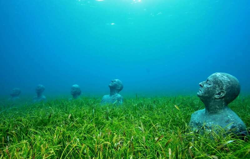 Cancún: Underwater Museum & Reef for Certified Scuba Divers - Second Tank on the Natural Coral Reef: Fish, Turtles, and Real Reef Energy