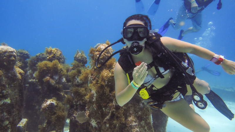 Cancún: Underwater Museum & Reef for Certified Scuba Divers - Rules Underwater and On the Day: What’s Not Allowed