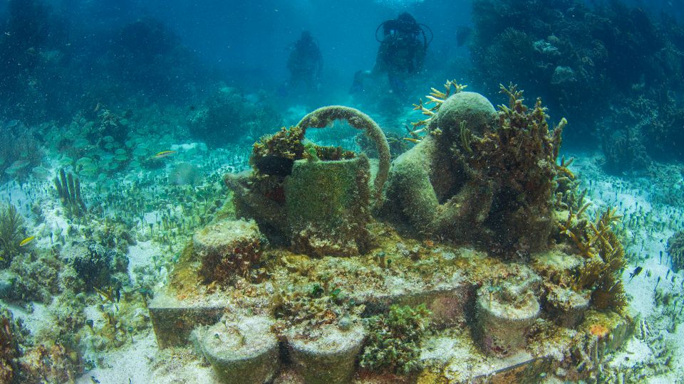 Cancún: Underwater Museum & Reef for Certified Scuba Divers - Smart Packing: Wetsuit, Photos, and Comfort Choices