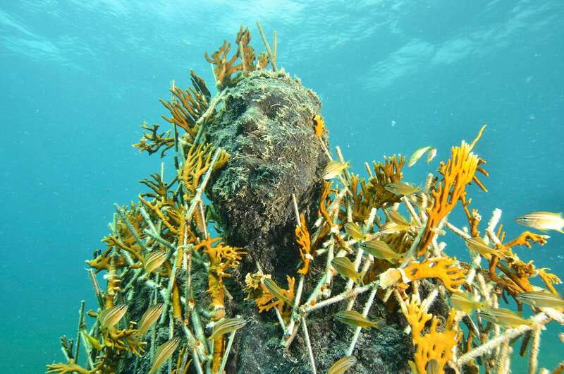 Cancún: Underwater Museum & Reef for Certified Scuba Divers - First Tank at Manchones Reef: The Statue Gallery ~30 Feet Under