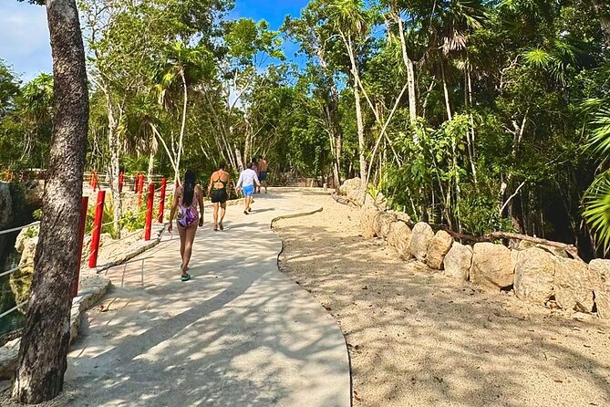 Casa Tortugas cenotes, Tulum Mayan site and Madre Naturaleza tour - Casa Tortuga Cenotes: Certified guidance, lifejackets, and four water stops