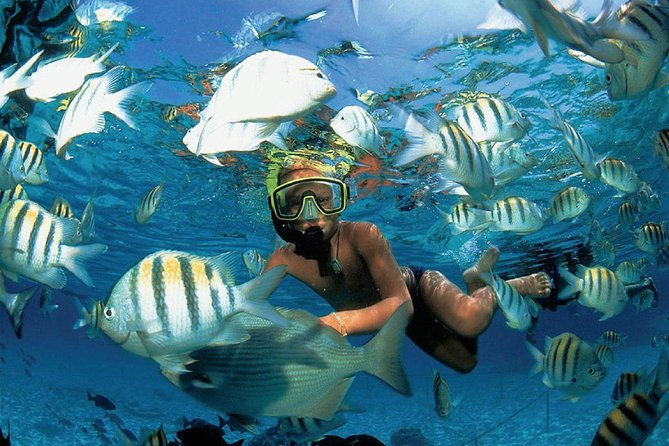 Catamaran adventure to Isla Mujeres with Snorkel,Buffet,Open Bar and Beach Club - From Cancun Marina to Isla Mujeres: The Morning Run