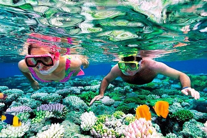 Catamaran adventure to Isla Mujeres with Snorkel,Buffet,Open Bar and Beach Club - Dock Fees, Check-In Reality, and How to Avoid the Most Common Friction