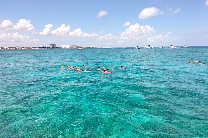 Catamaran Albatros Platinum & Beach club & Open bar & Isla Mujeres - Drinks and buffet value: what $110 really buys you