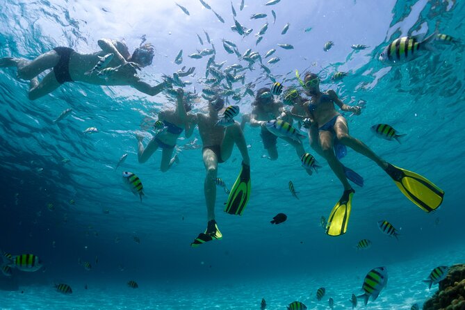 Catamaran Isla Mujeres Tour with Hotel Pick Up included - Who Should Book This Catamaran Tour (and Who Might Skip)
