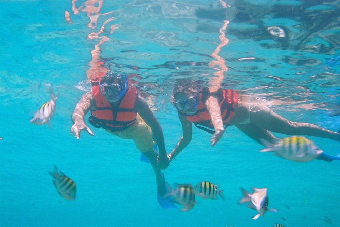 Catamaran Isla Mujeres Tour with Hotel Pick Up included - Isla Mujeres Snorkeling: What to Expect Underwater