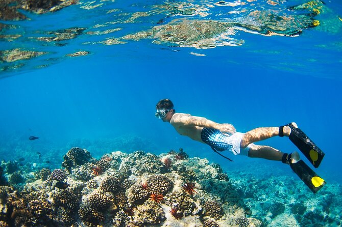 Catamaran to Isla Mujeres at sunset pick up Cancun - Playa Norte (North Beach): The Swim-Friendly Sunset Stop