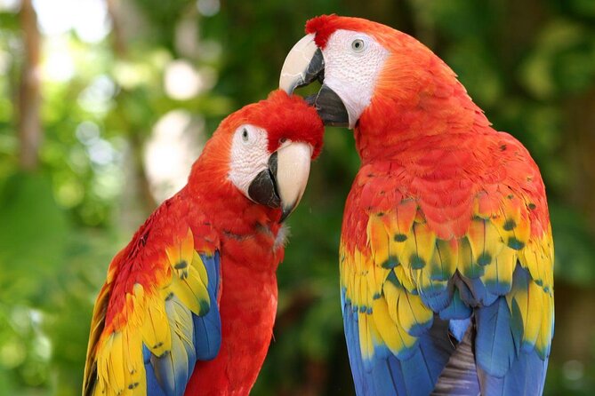 CATAMARAN to Isla Mujeres, Snorkel & Beach Club by Xcaret - Catamaran Comfort First: Why this itinerary feels worth it