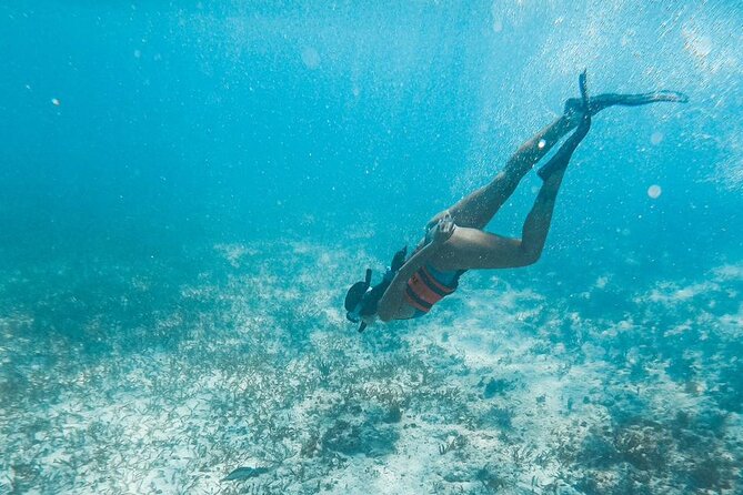 Catamaran Tour to Isla Mujeres Cancun - The On-Board Open Bar and Music: Fun Without Feeling Forced