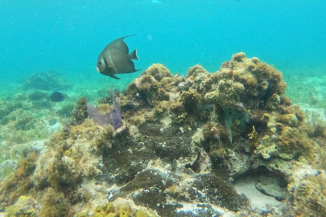 Catamaran with Snorkeling and North Beach, Isla Mujeres - Stop 4: Playa Tortugas Return and the Free Drinks Bar