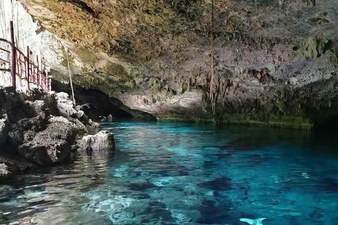 Cenote Cancun Experience with Transportation Included & Lunch - Lunch break: cochinita tacos, vegan option, and water