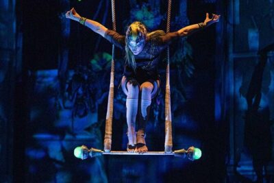 Cirque du Soleil JOYÀ Admission Tickets - Choosing the right seats: show-only vs dinner vs VIP