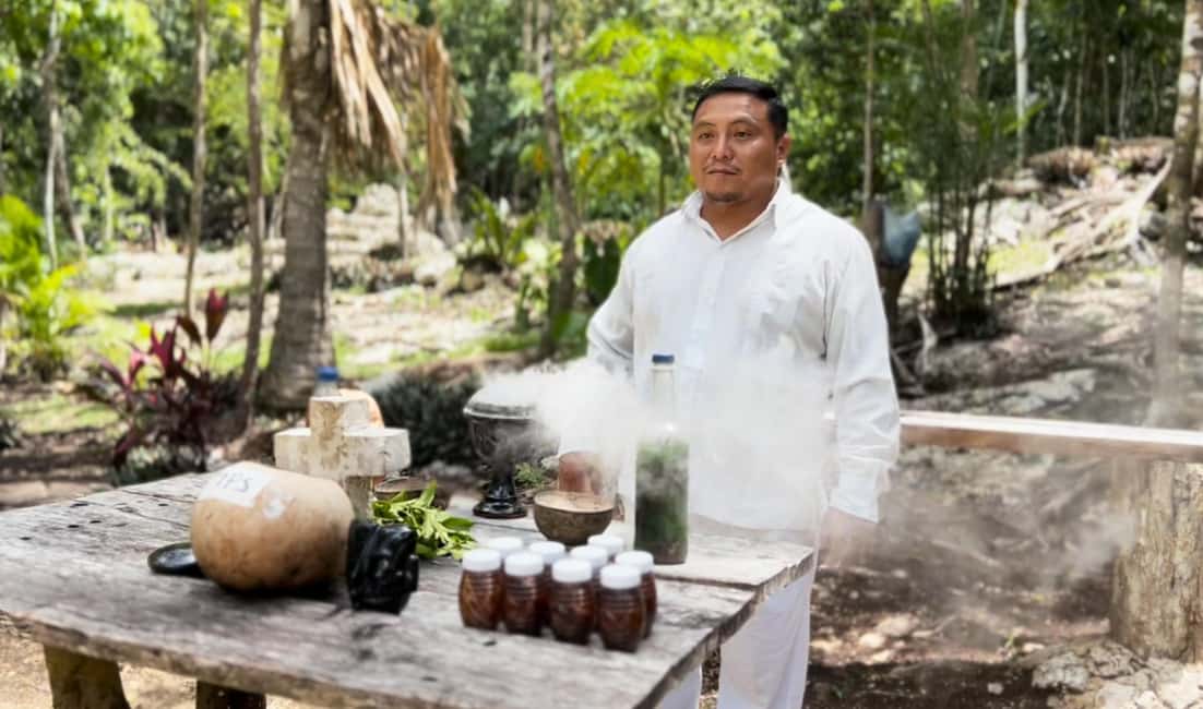 Coba, Tulum, Cenote & Lunch ECO Full Day from Rivera - Transportation and guide style: what to expect on the bus
