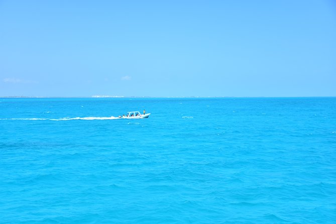 Contoy Caribbean Adventure! Round Transportation from Cancun - Snorkeling Rules You Need to Know Before You Pack