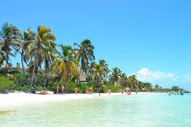 Contoy Island Tour from Playa del Carmen & Cancun - Isla Contoy: protected reef snorkeling plus an island-guided reset