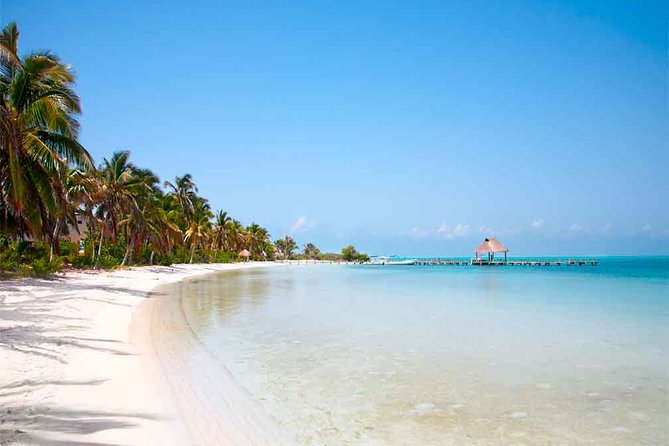 Contoy Island Tour from Playa del Carmen & Cancun - Lunch and the open bar: a smart pacing choice